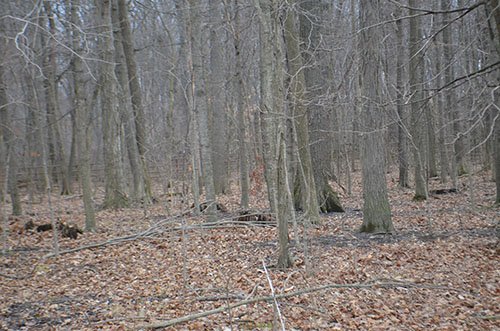 Property photo 15 - REAL ESTATE & FARM EQUIPMENT AUCTION IN ALLEN COUNTY, INDIANA
